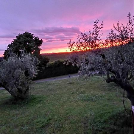 L'Orto Sul Poggio Bed and Breakfast Sutri Eksteriør billede