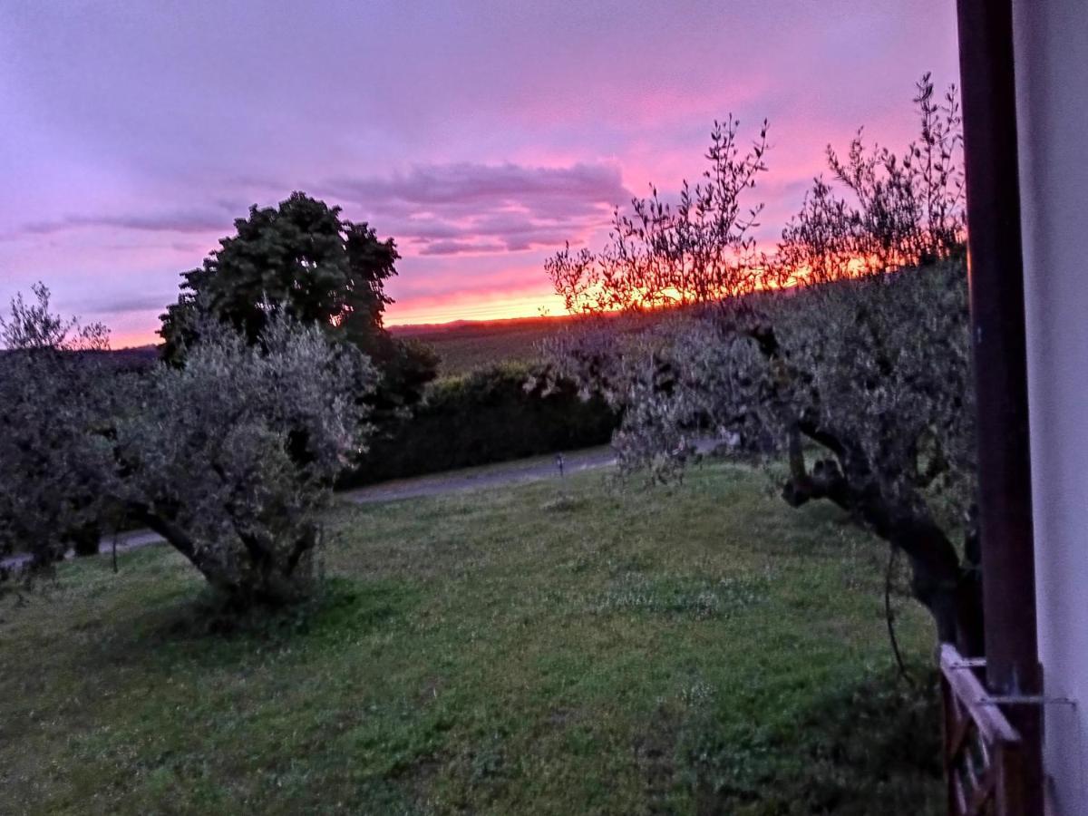 L'Orto Sul Poggio Bed and Breakfast Sutri Eksteriør billede