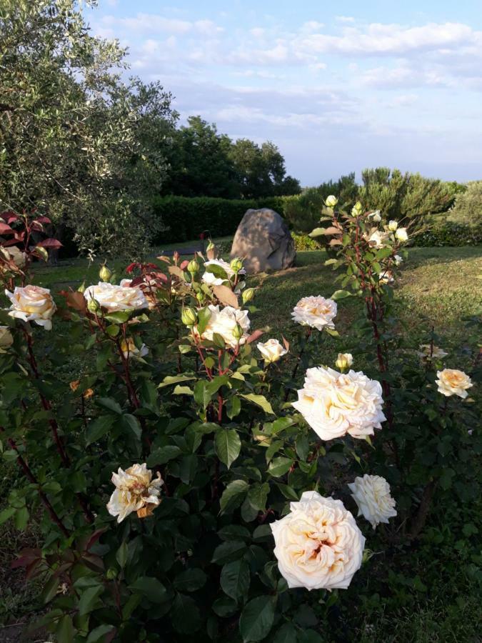 L'Orto Sul Poggio Bed and Breakfast Sutri Eksteriør billede